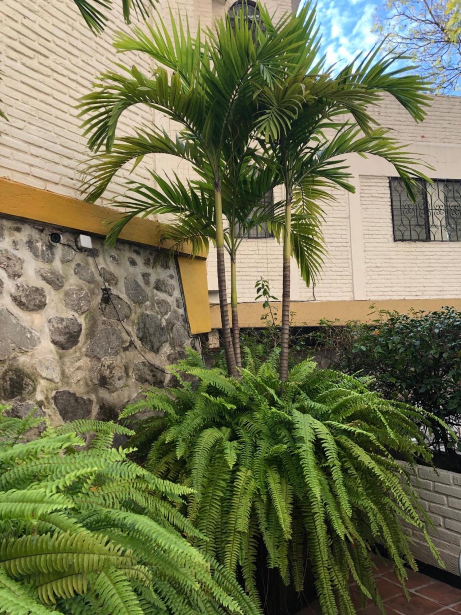 Hotel Ilebal Cuernavaca Centro - Lugar Con Encanto! エクステリア 写真
