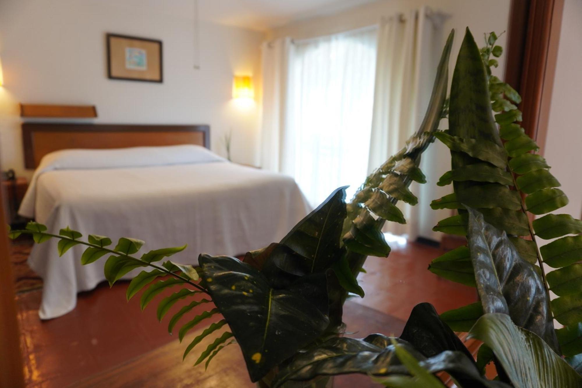 Hotel Ilebal Cuernavaca Centro - Lugar Con Encanto! エクステリア 写真