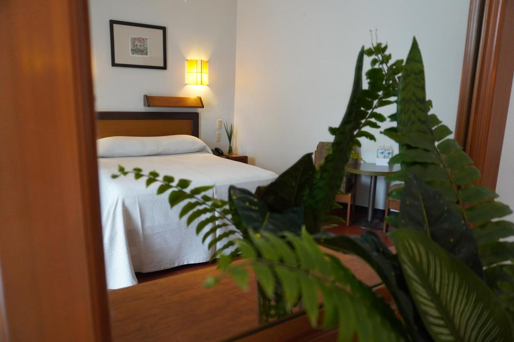Hotel Ilebal Cuernavaca Centro - Lugar Con Encanto! エクステリア 写真