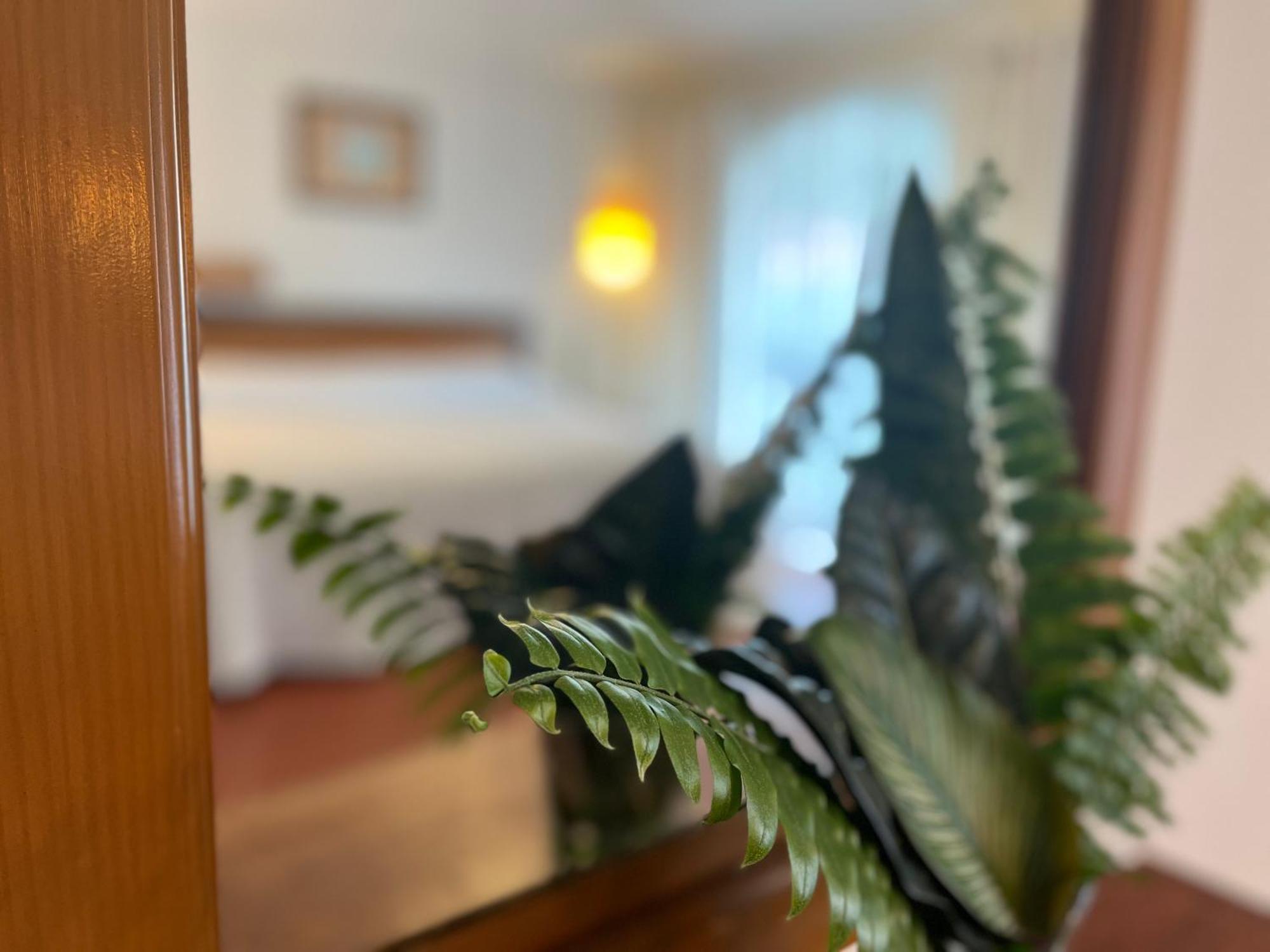 Hotel Ilebal Cuernavaca Centro - Lugar Con Encanto! エクステリア 写真