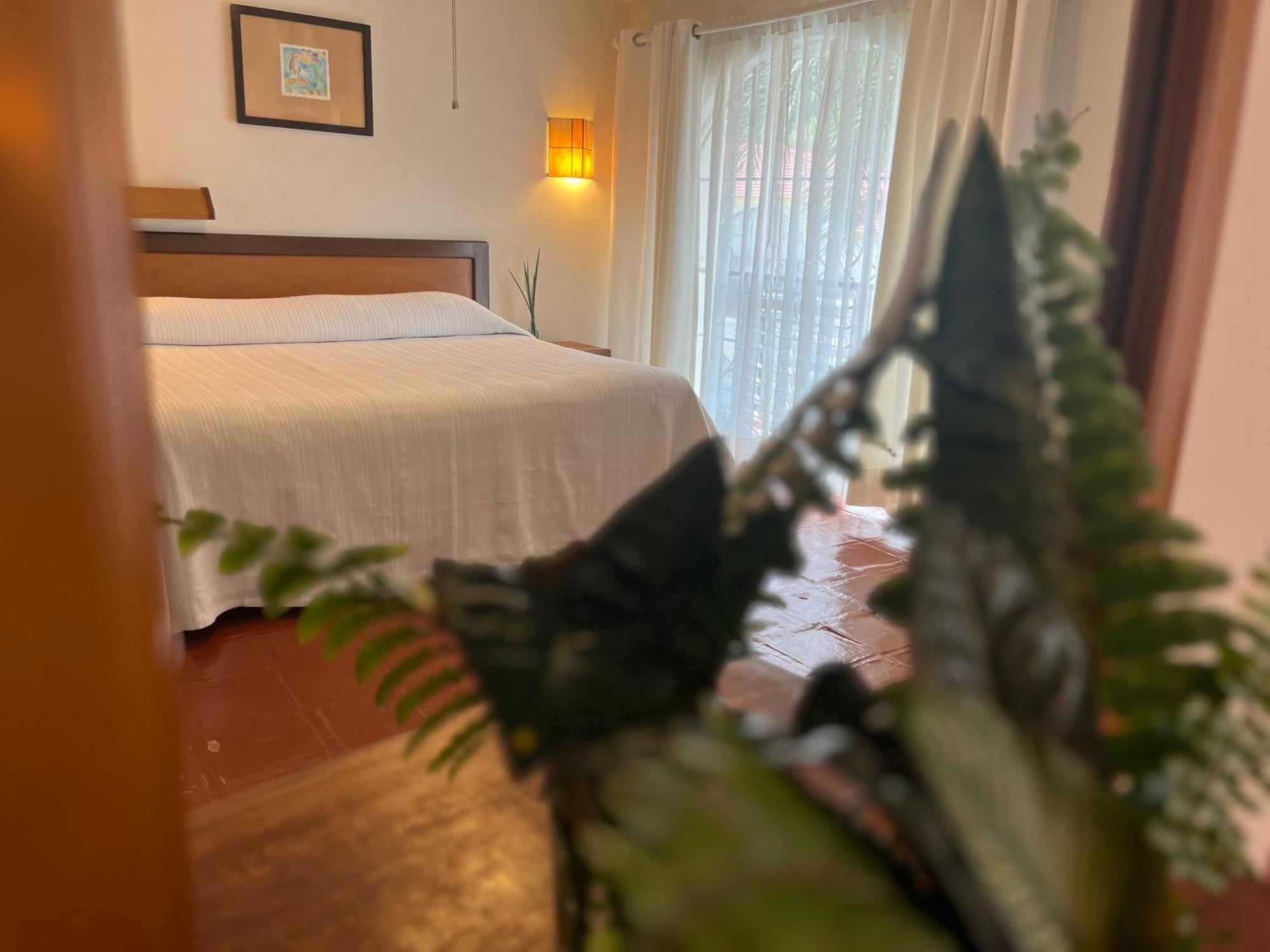 Hotel Ilebal Cuernavaca Centro - Lugar Con Encanto! エクステリア 写真