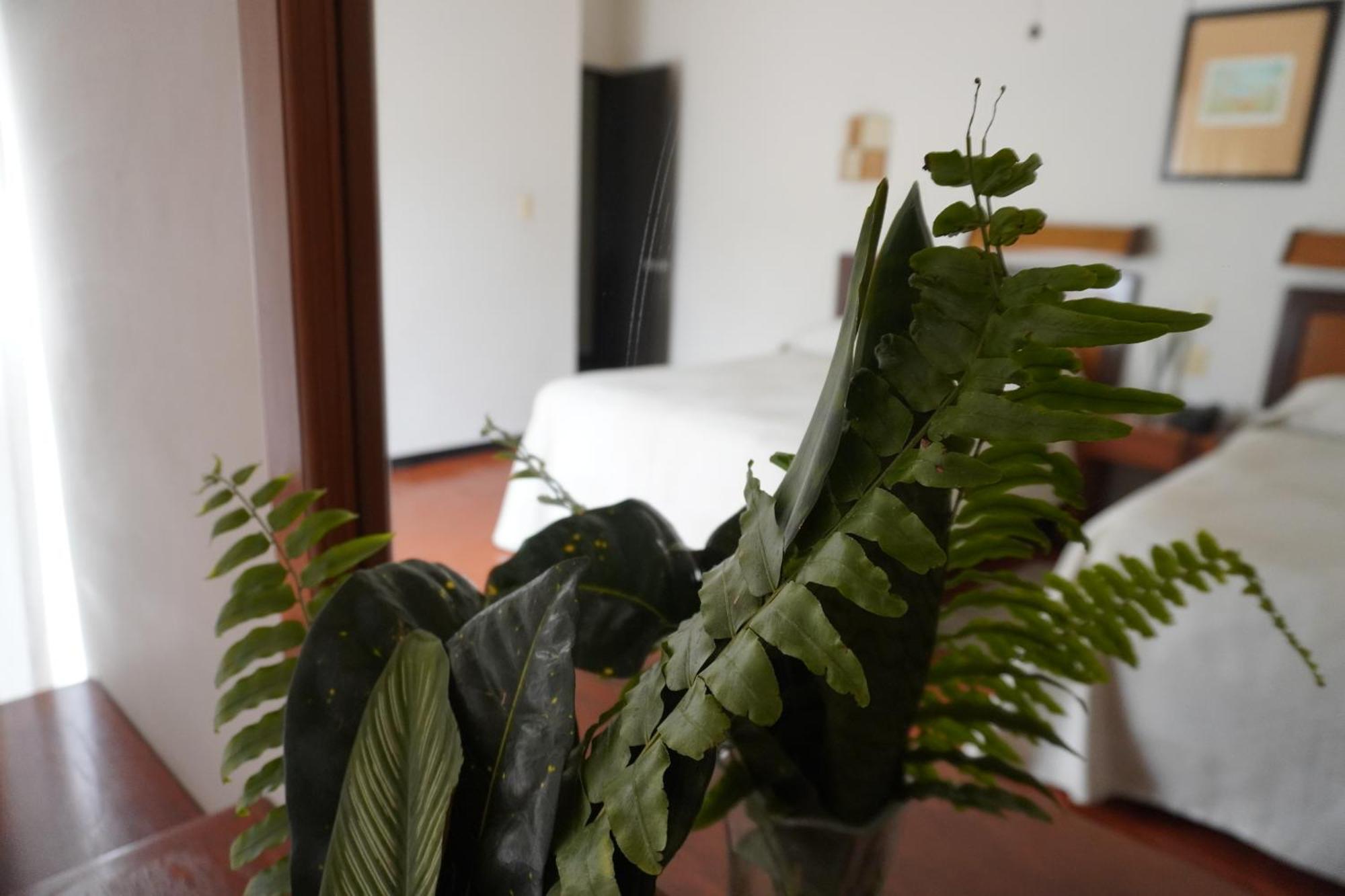 Hotel Ilebal Cuernavaca Centro - Lugar Con Encanto! エクステリア 写真
